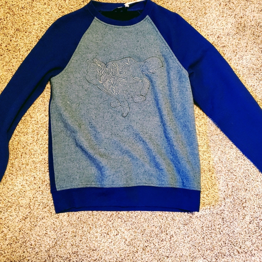 Aption Aesthetics 100% merino wool sweater NWT